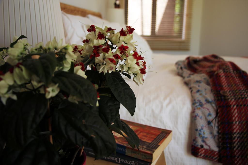Bed and Breakfast A Casa Da Arvore Vila Nova de Milfontes Zimmer foto